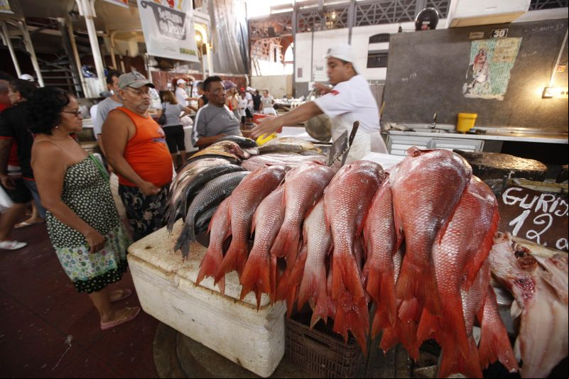 notícia: Governo publica esta semana decreto proibindo a saída de pescado do Estado