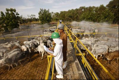 notícia: Estado convoca setores pecuarista e de supermercados para esclarecer abastecimento de carne bovina