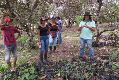 notícia: Governo e agricultores se unem para organizar e fortalecer cadeias produtivas de Igarapé-Açu