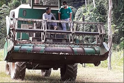 notícia: Agricultor de Almeirim aumenta produção de milho após apoio e icentivo da Emater
