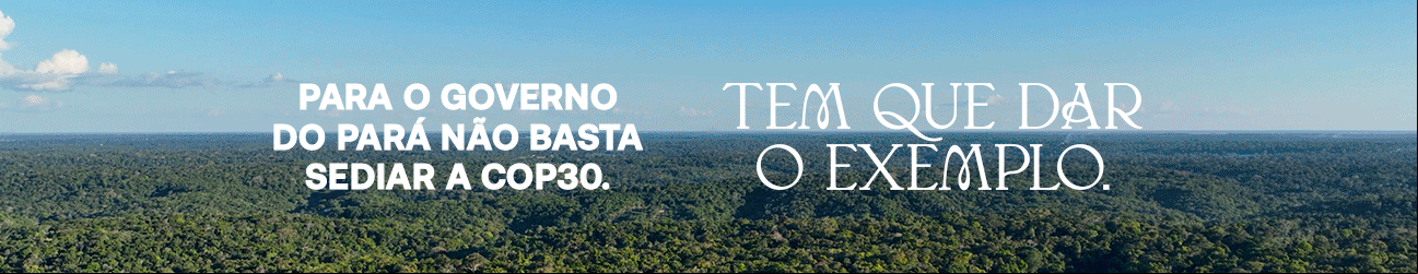banner: Agência Pará